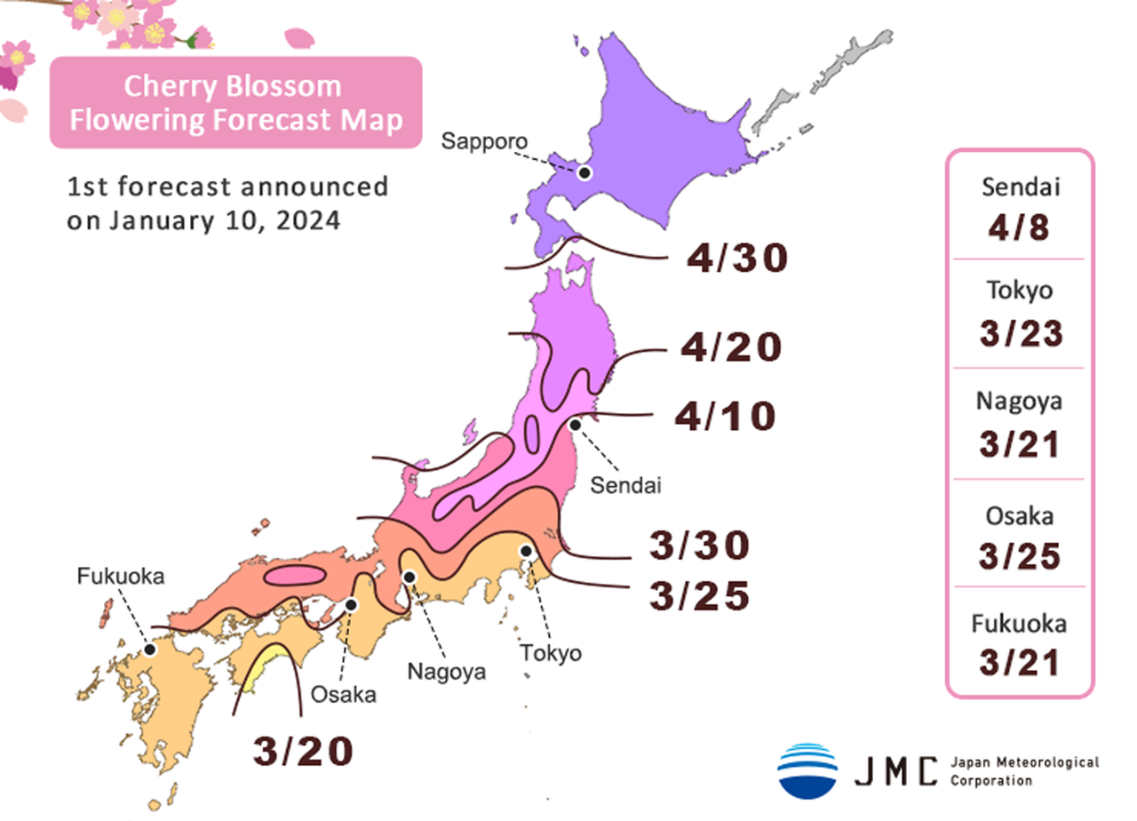 Cherry Blossom Flowering Forecast Map