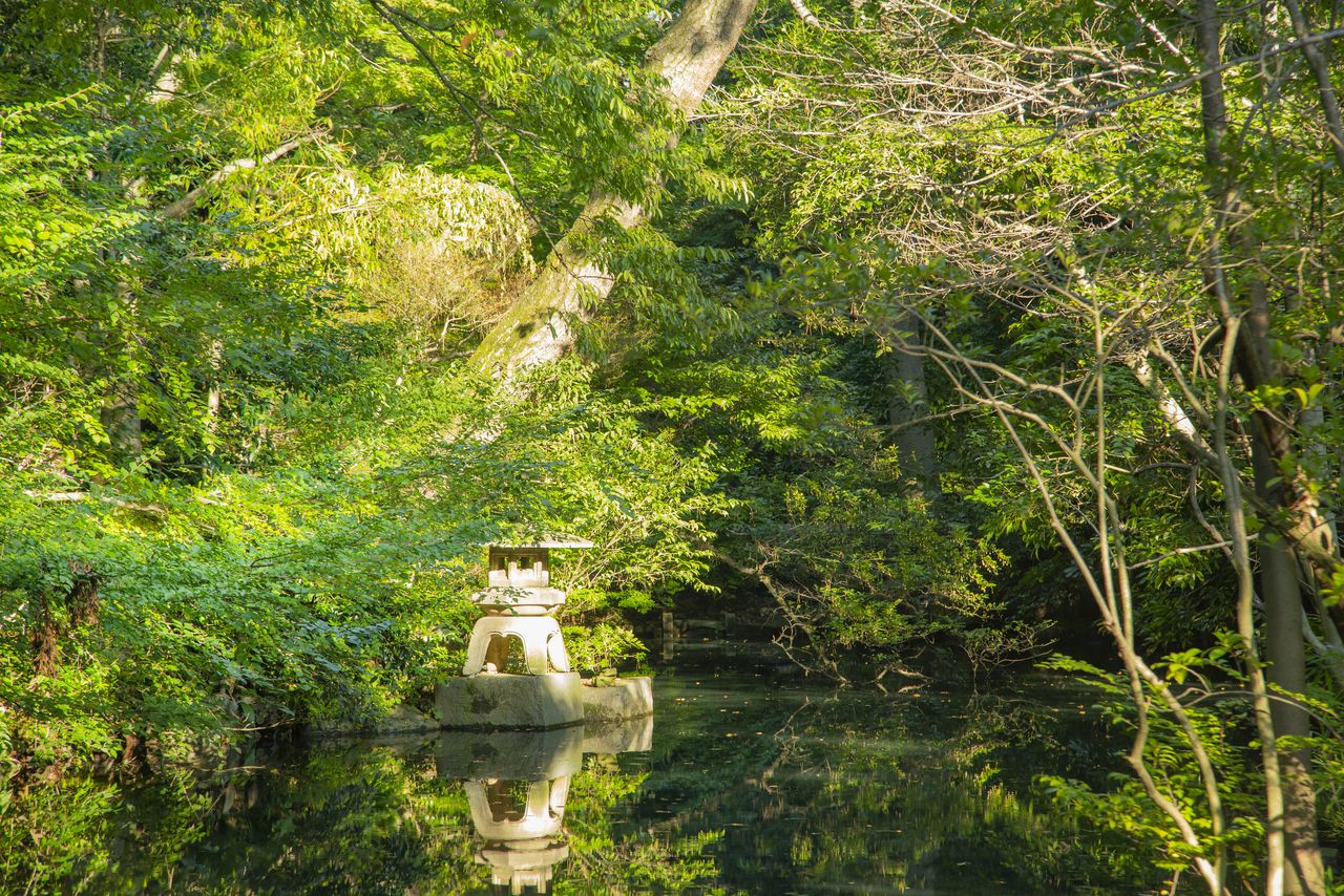 The Japanese garden at Nezu Museum. (© Pixta)