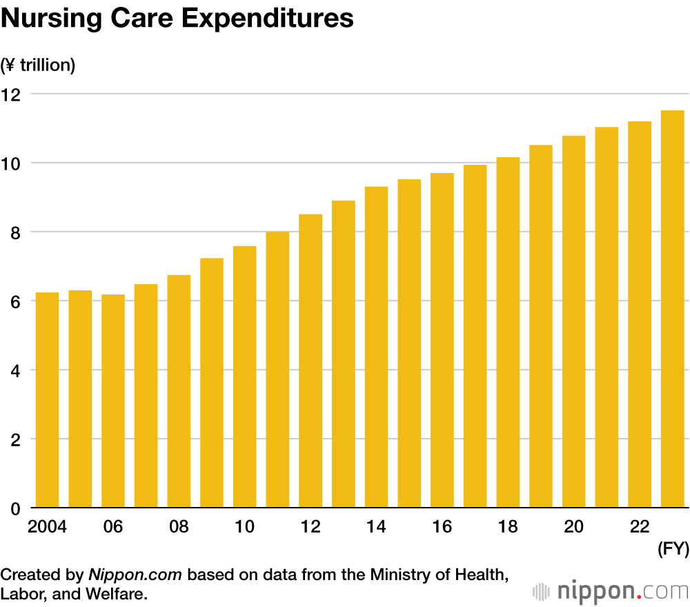 Nursing Care Expenditures