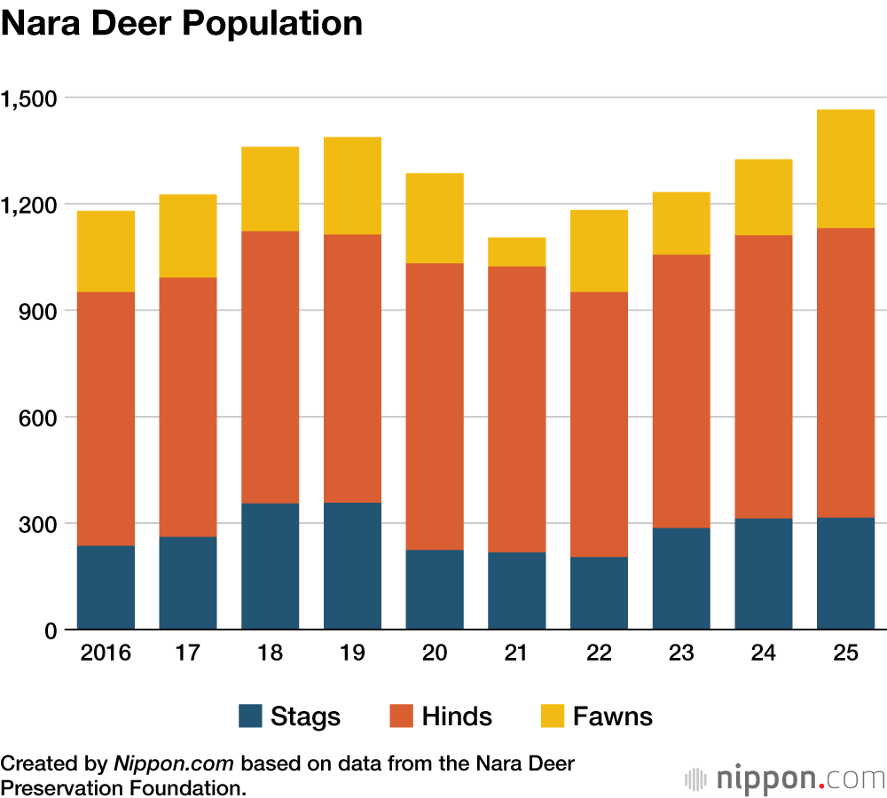 Nara Deer Population
