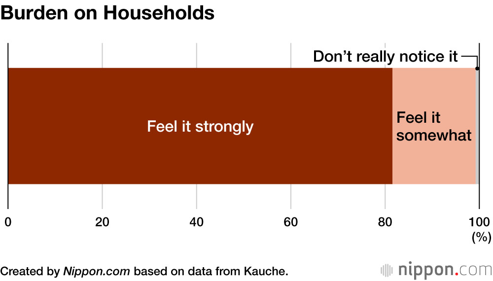 Burden on Households