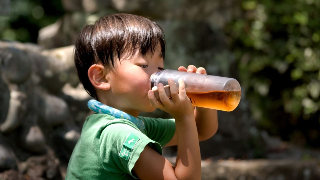 Japan Records Third Hottest Year Ever in 2025