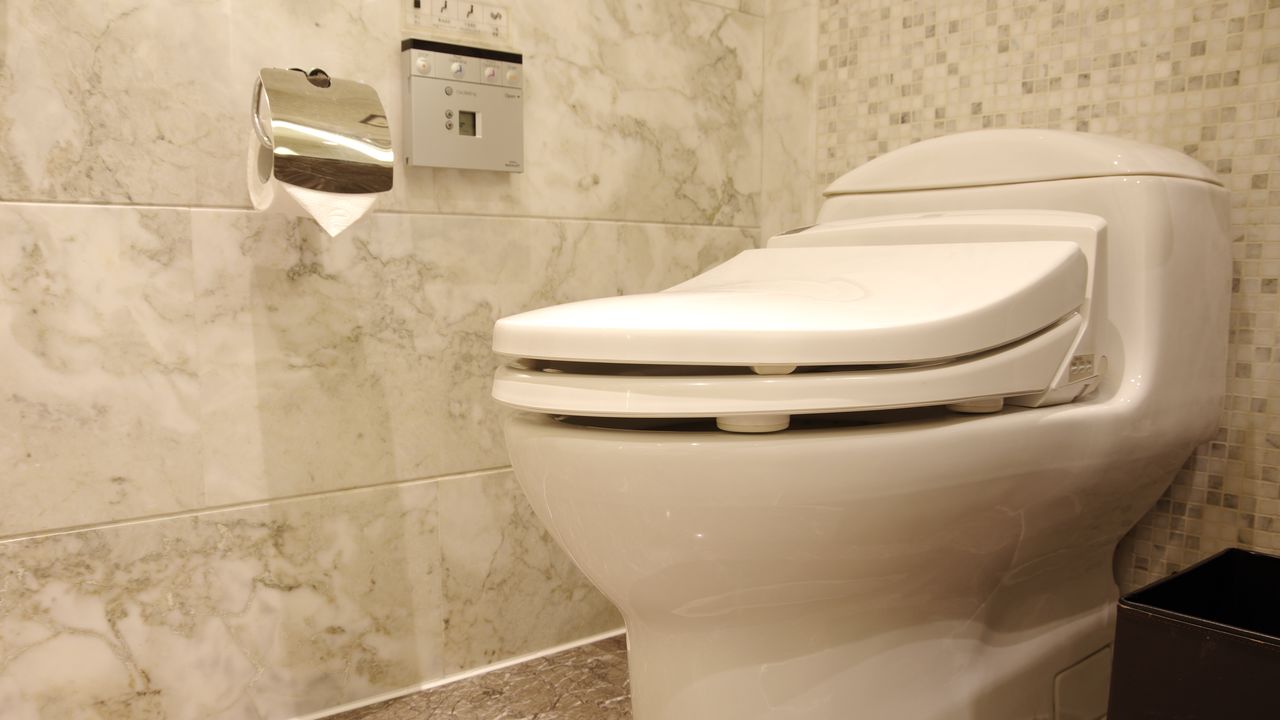 Japan Toilet Survey Tracks Use of Rear Spray Function