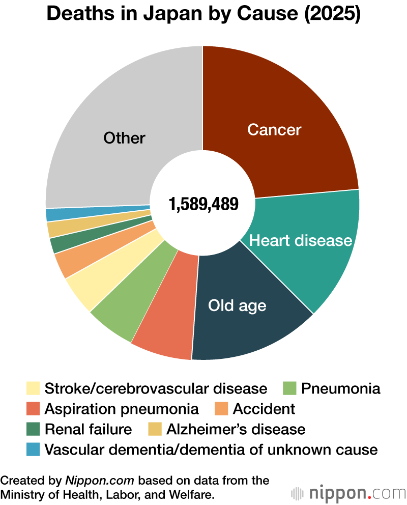 Deaths in Japan by Cause (2025)