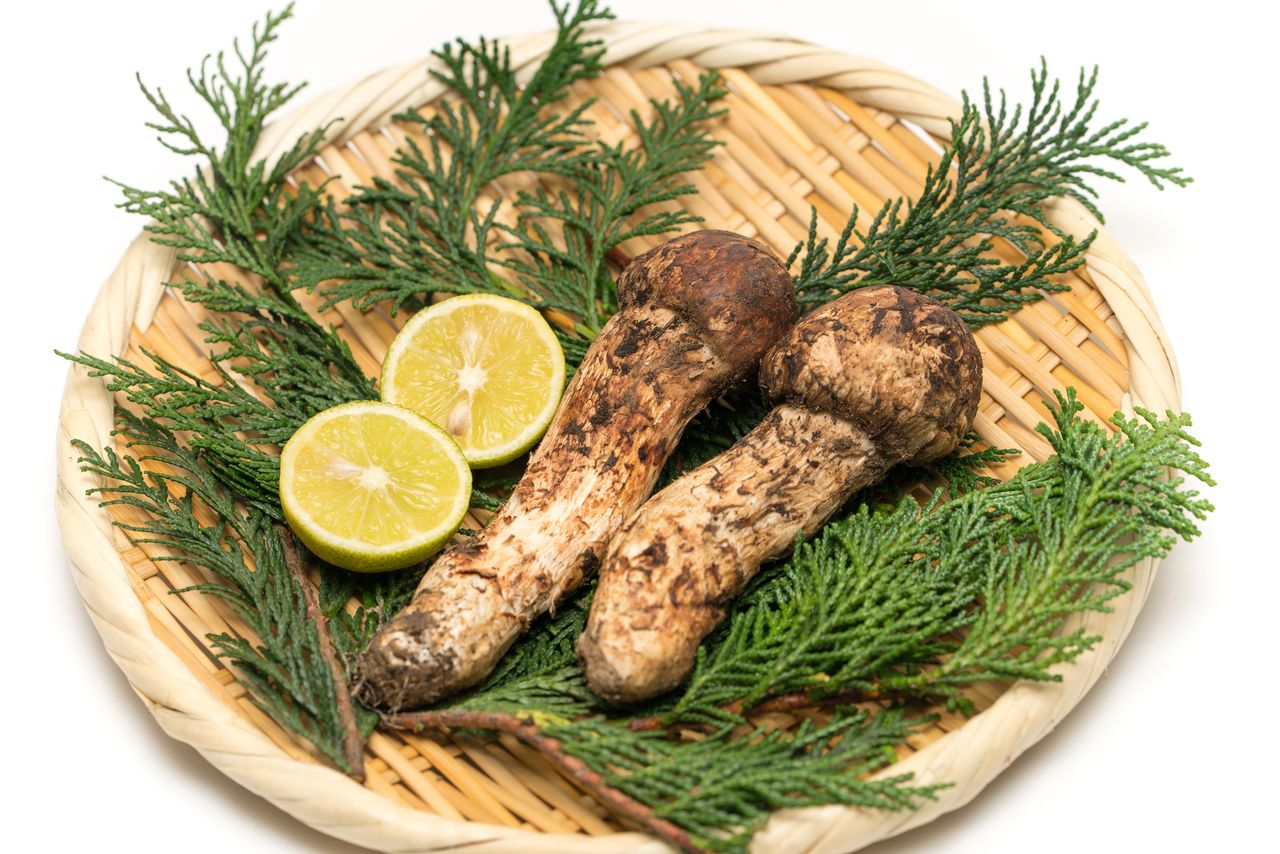Matsutake are signature autumn treats, but can be expensive to enjoy.
