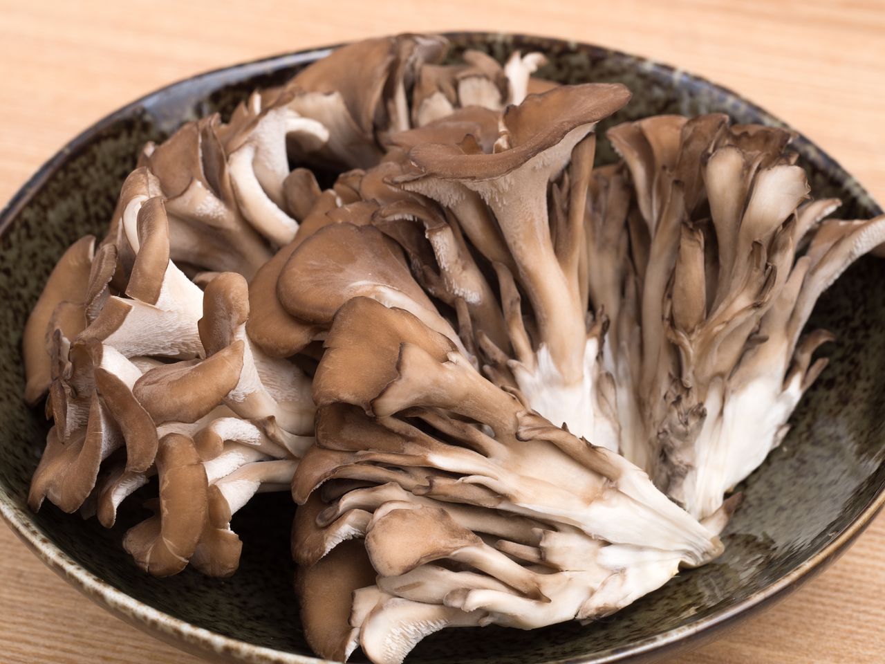 Maitake is recognizable by its distinct appearance.