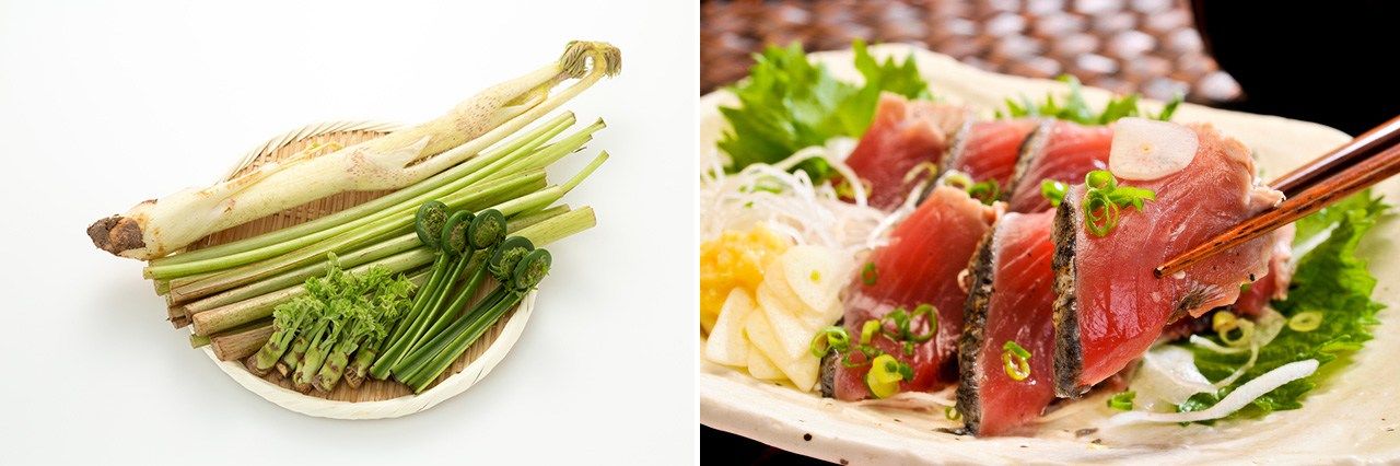 Wild vegetables (left); bonito is tasty with ginger, negi onions, garlic, and soy sauce. (© Pixta)
