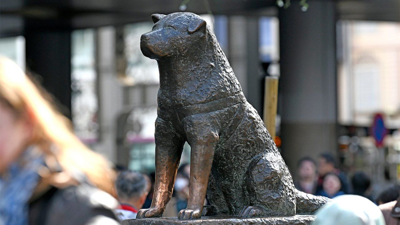 Hachikō, the Faithful Dog | Nippon.com