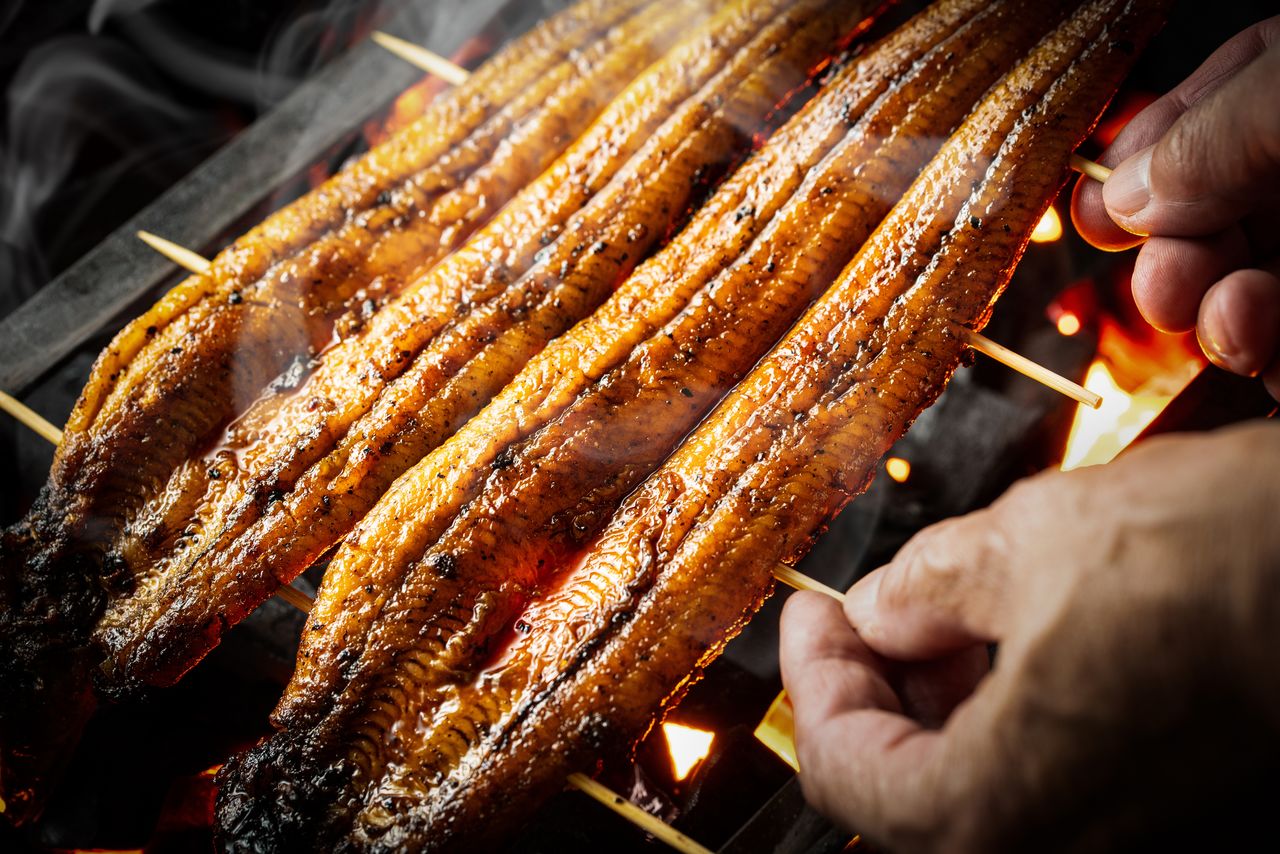 Kabayaki-style grilled eel. (© Adobestock)