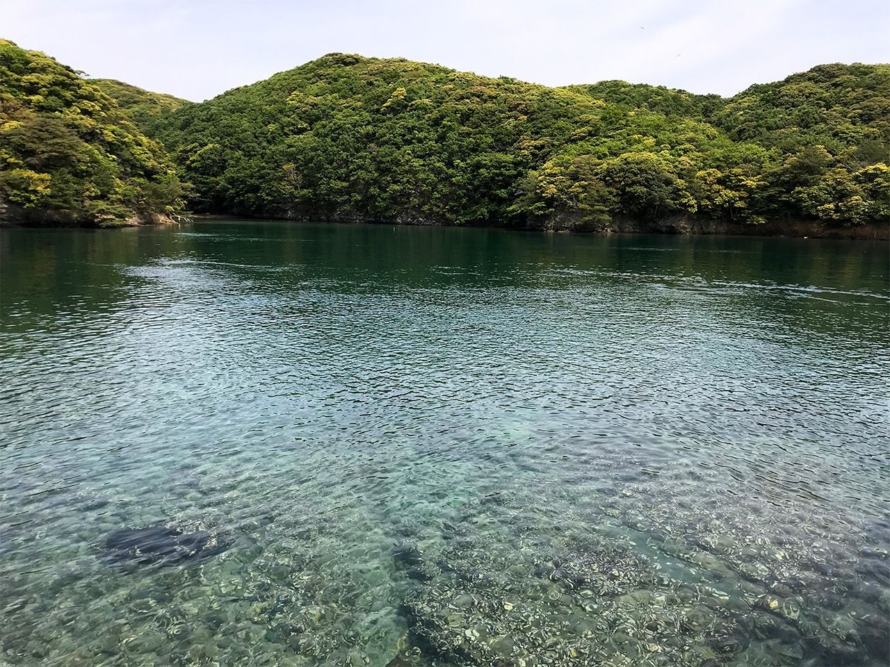 The blue waters and green hills of Tsushima.
