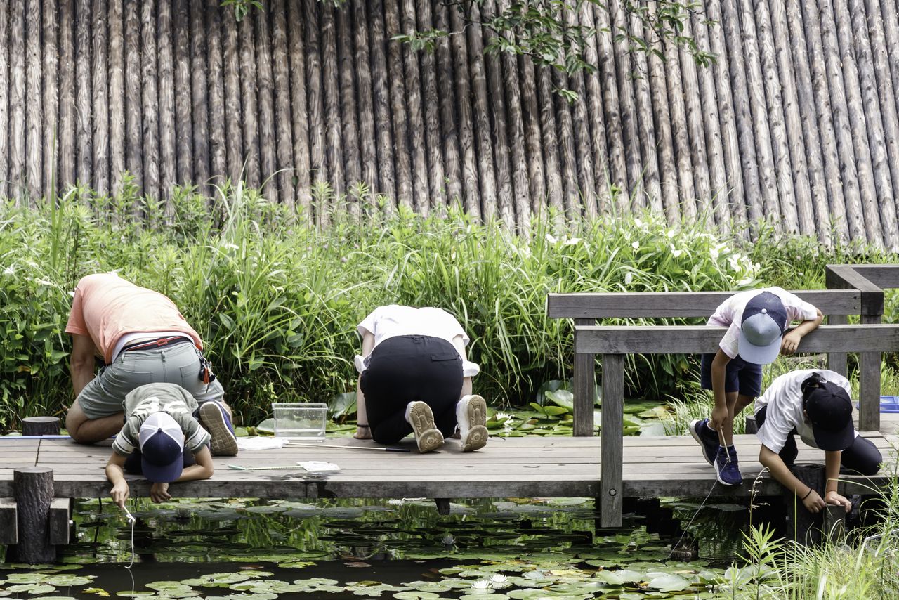A family group engrossed in crayfish fishing. (© Pixta)