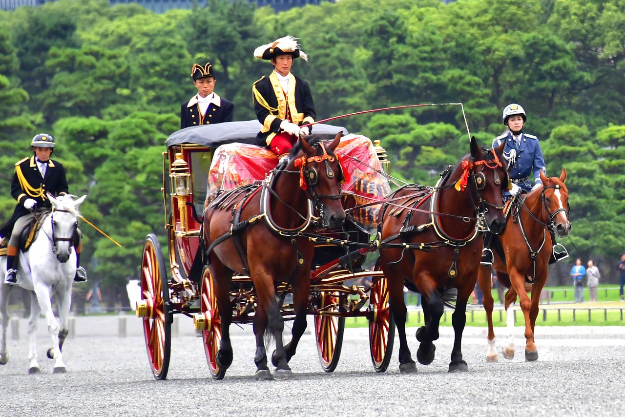 Horses escort a carriage in 2019.