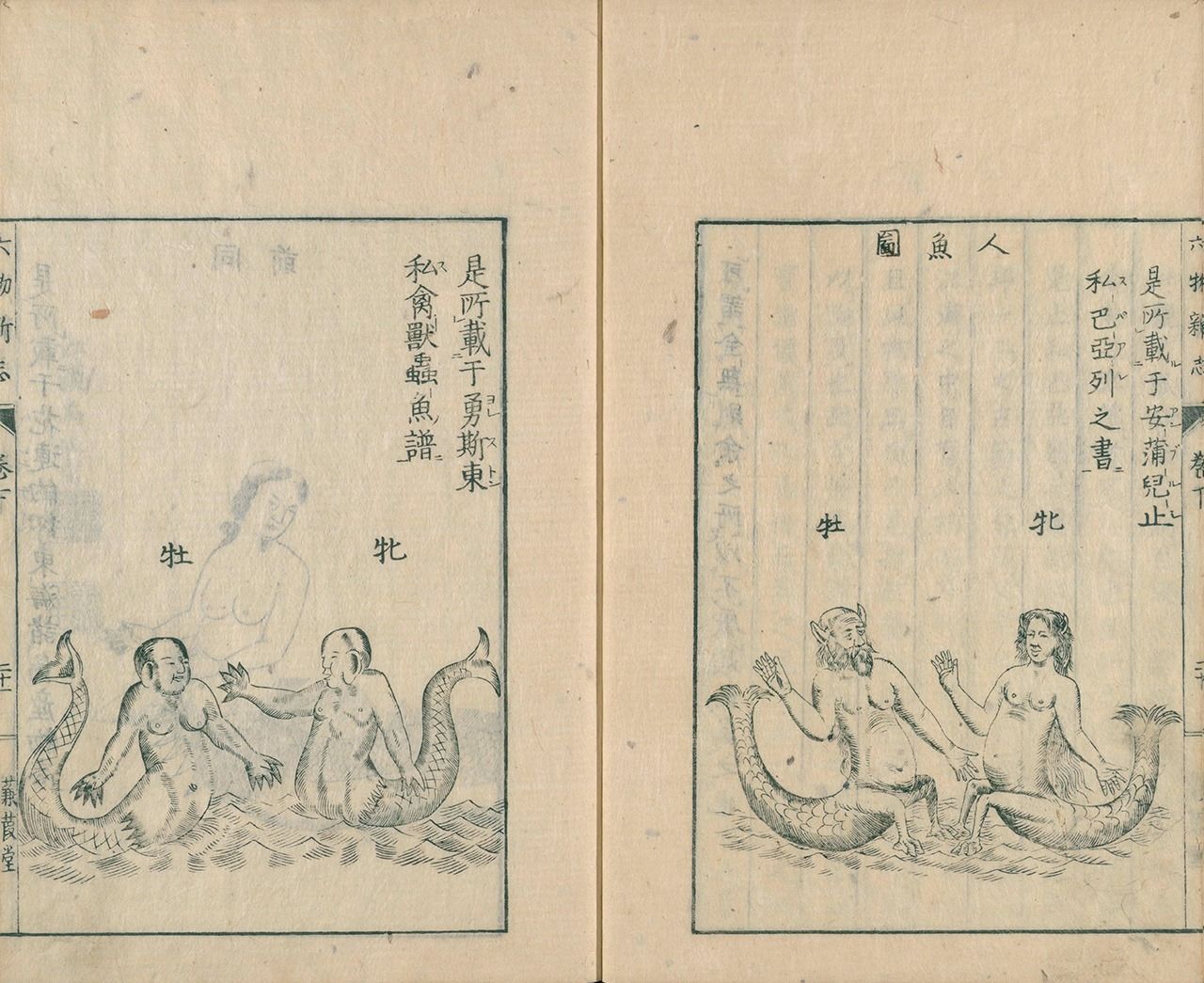 Illustrations of merfolk in Rokumotsu shinshi (New Applications for Six Things) taken from works by John Jonston (left) and Ambroise Paré. (Courtesy National Diet Library Digital Collection)