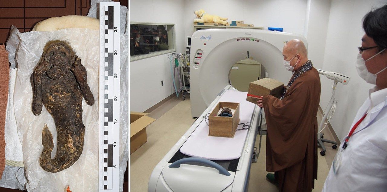 The Enjuin mummy (left) and Kuida Kōzen, the temple’s chief priest, observing a CT scan. The mummy will go on display at Kurashiki Museum of Natural History this summer. (Courtesy Kurashiki University of Science and the Arts)
