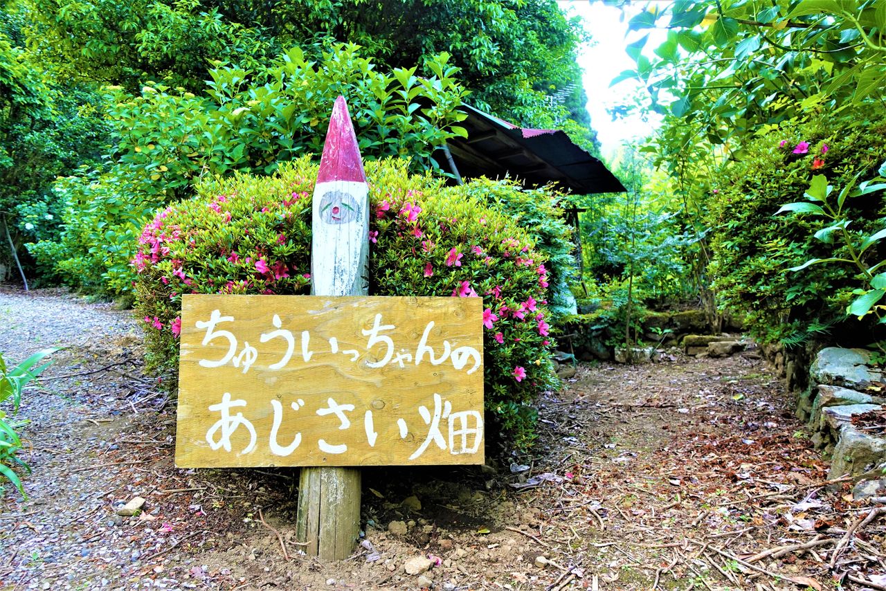 An impish elf welcomes visitors to the entrance of Minamizawa Ajisai Mountain. The wood carving is the work of local sculptor Tomonaga Akimitsu. (© Amano Hisaki)