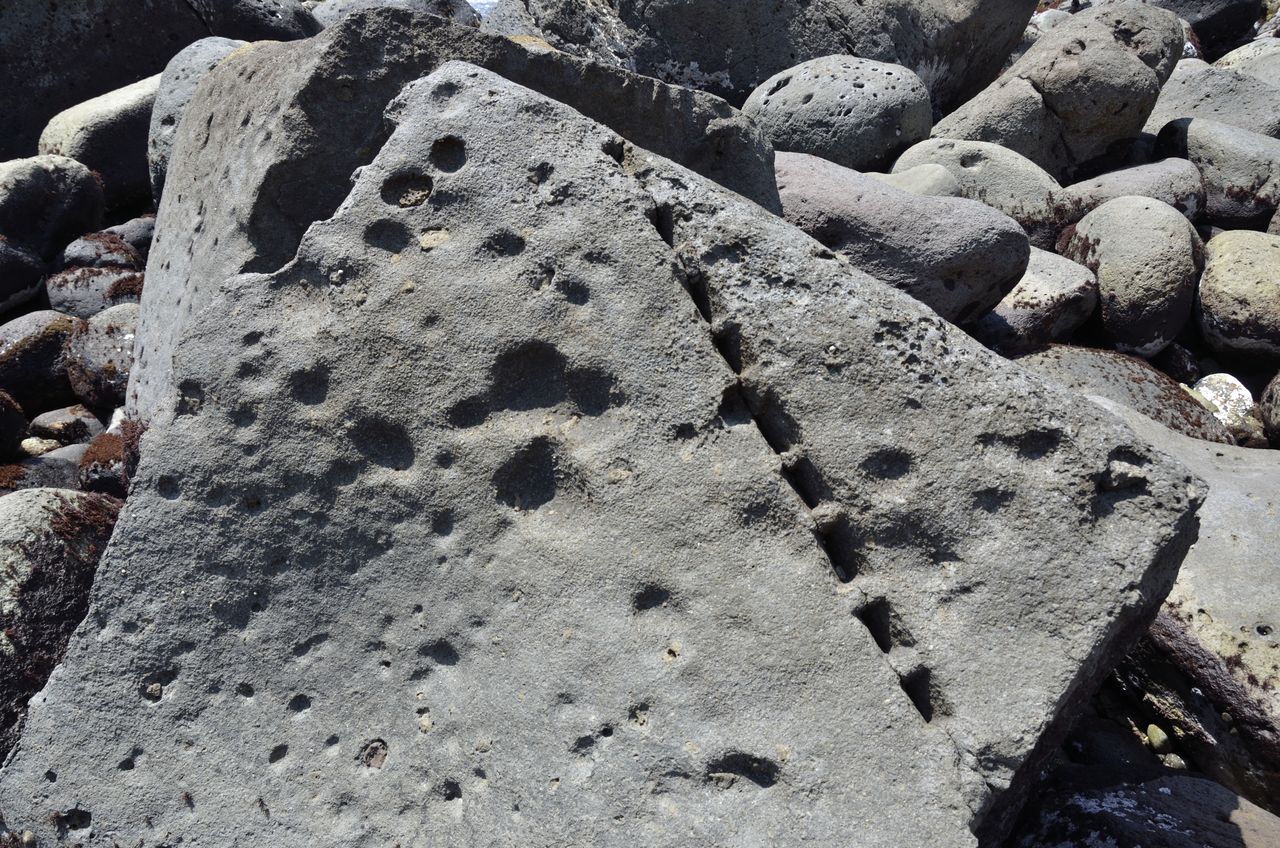 Along the eastern coast of the Izu Peninsula in Shizuoka Prefecture, there are the remains of quarries for stone to be used in Edo Castle. Some of the large stones still have lines of holes into which metal wedges were hammered to split them. (© Pixta)
