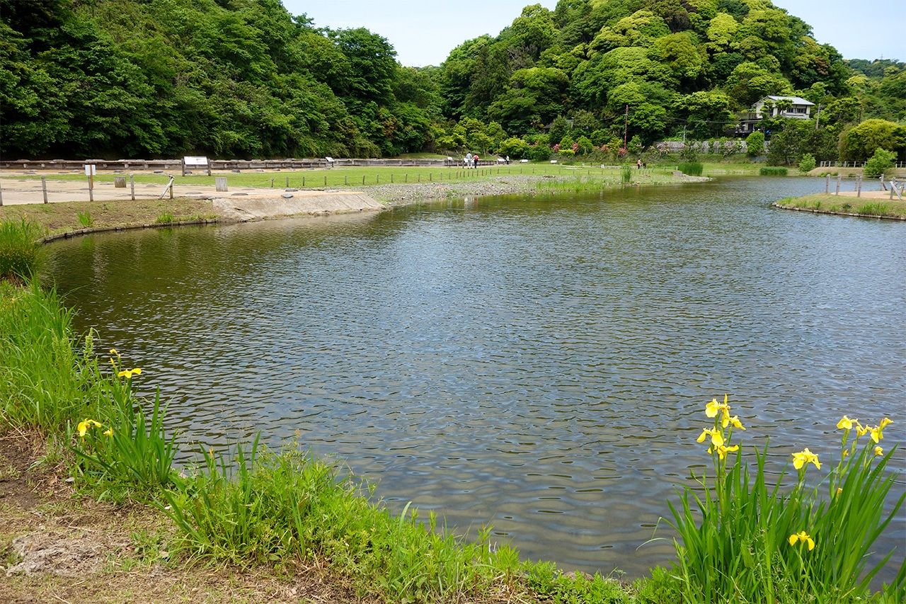 The gourd-shaped pond is more than 100 meters wide. (© Mochida Jōji)