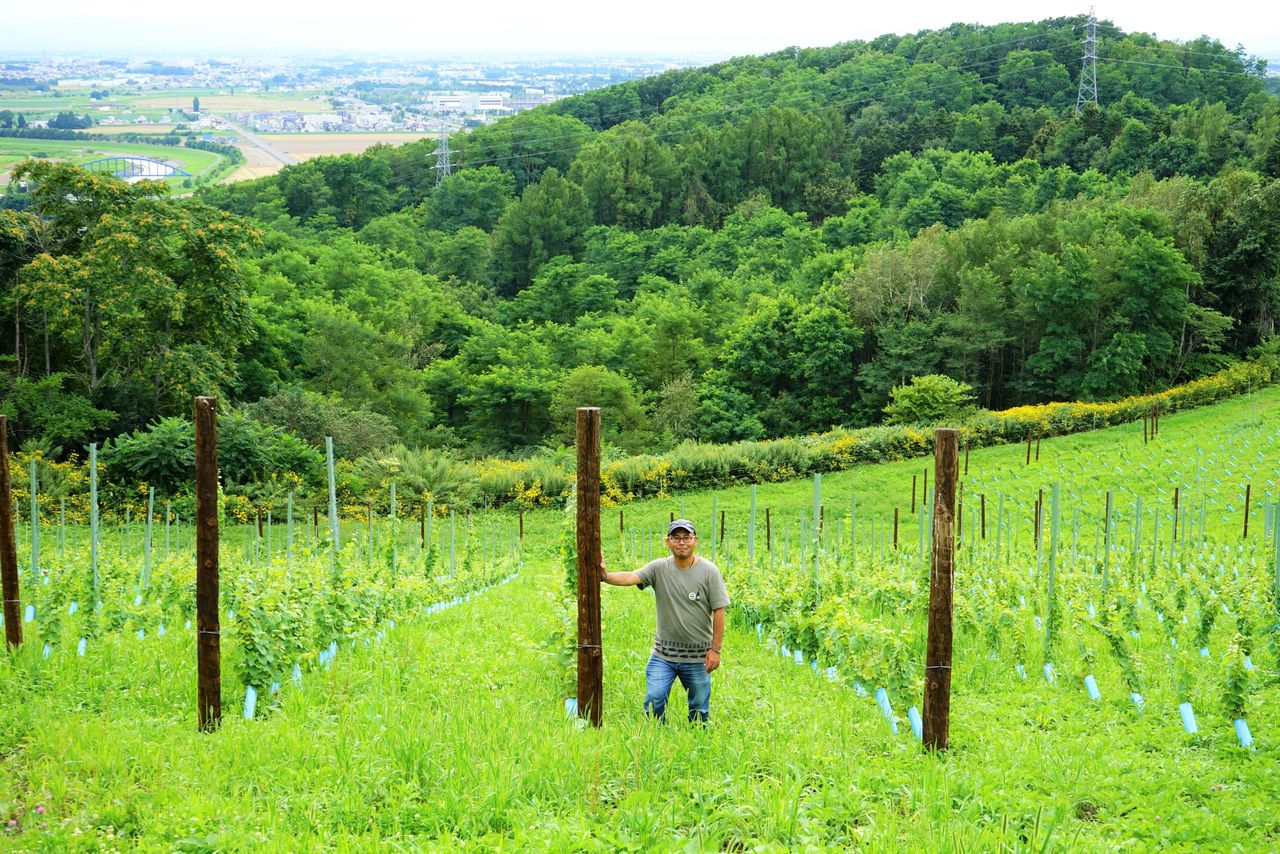 Miyamoto Ryōhei stands in a newly planted vine plot at Miyamoto Vineyard. (© Ukita Yasuyuki)