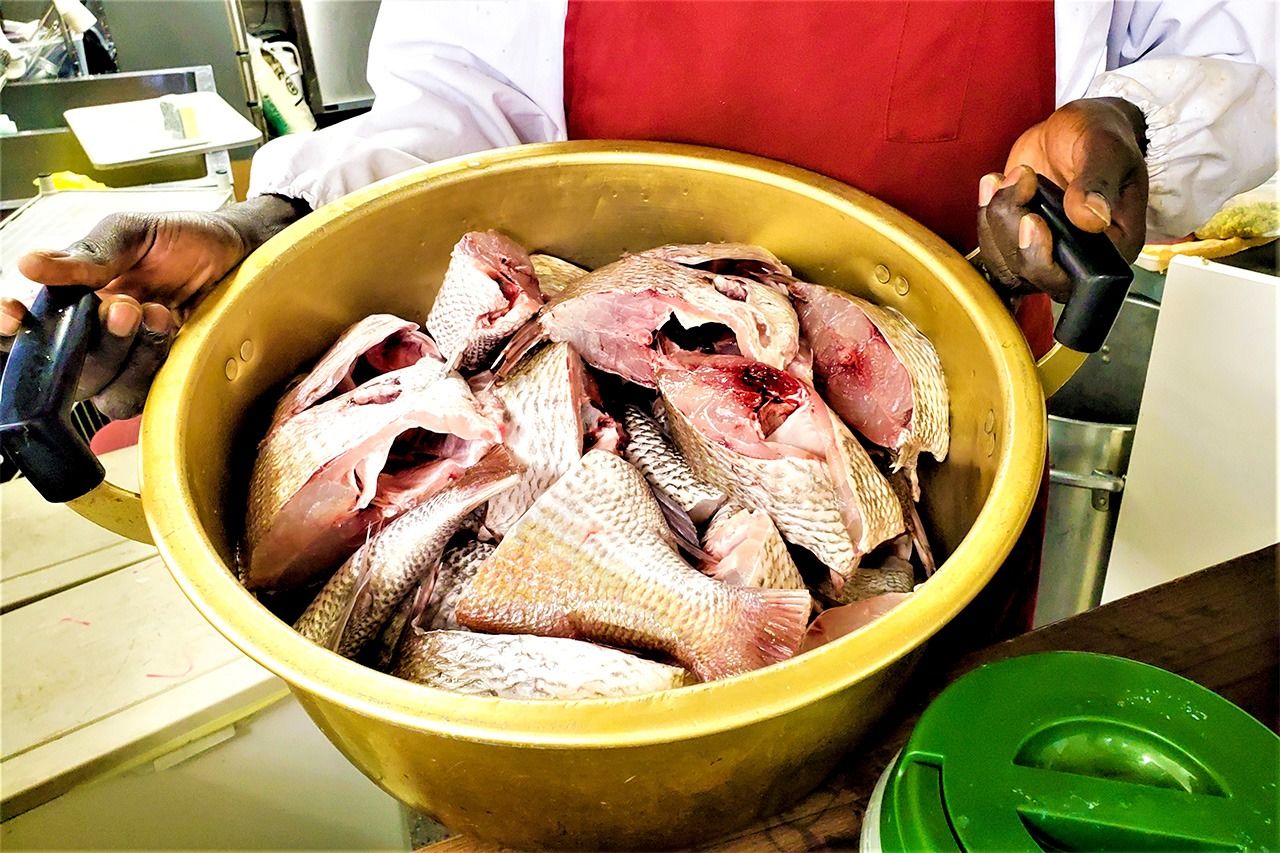 Nian readies a batch of sea bream, which will serve as the base of thieboudienne.