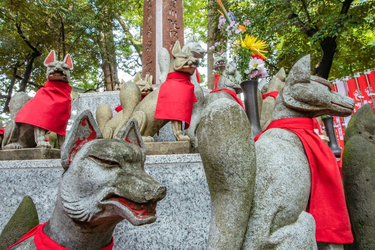 Foxes venerated at Toyokawa Inari Betsuin, Akasaka, Tokyo. (© Pixta)