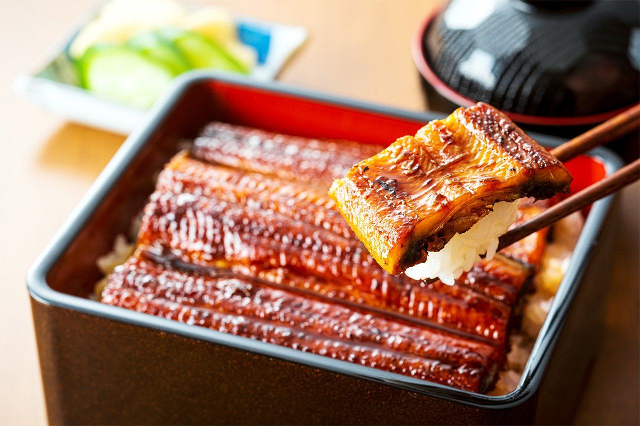 Unajū (eel on rice). (© Pixta)