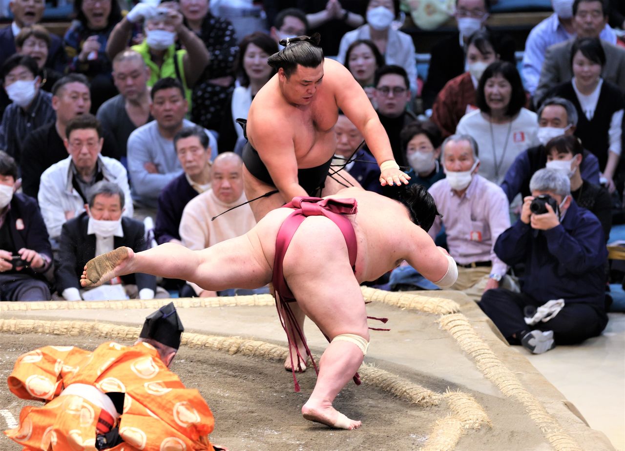 Then sekiwake Kiribayama defeats Daieishō in the final bout to win the spring tournament at Edion Arena in Osaka on March 26, 2023. The tournament was notable for the absence of rikishi from the top two ranks of yokozuna and ōzeki. (© Jiji)