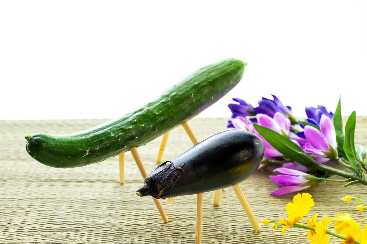 Cucumber and eggplant Obon animals. (© Pixta)