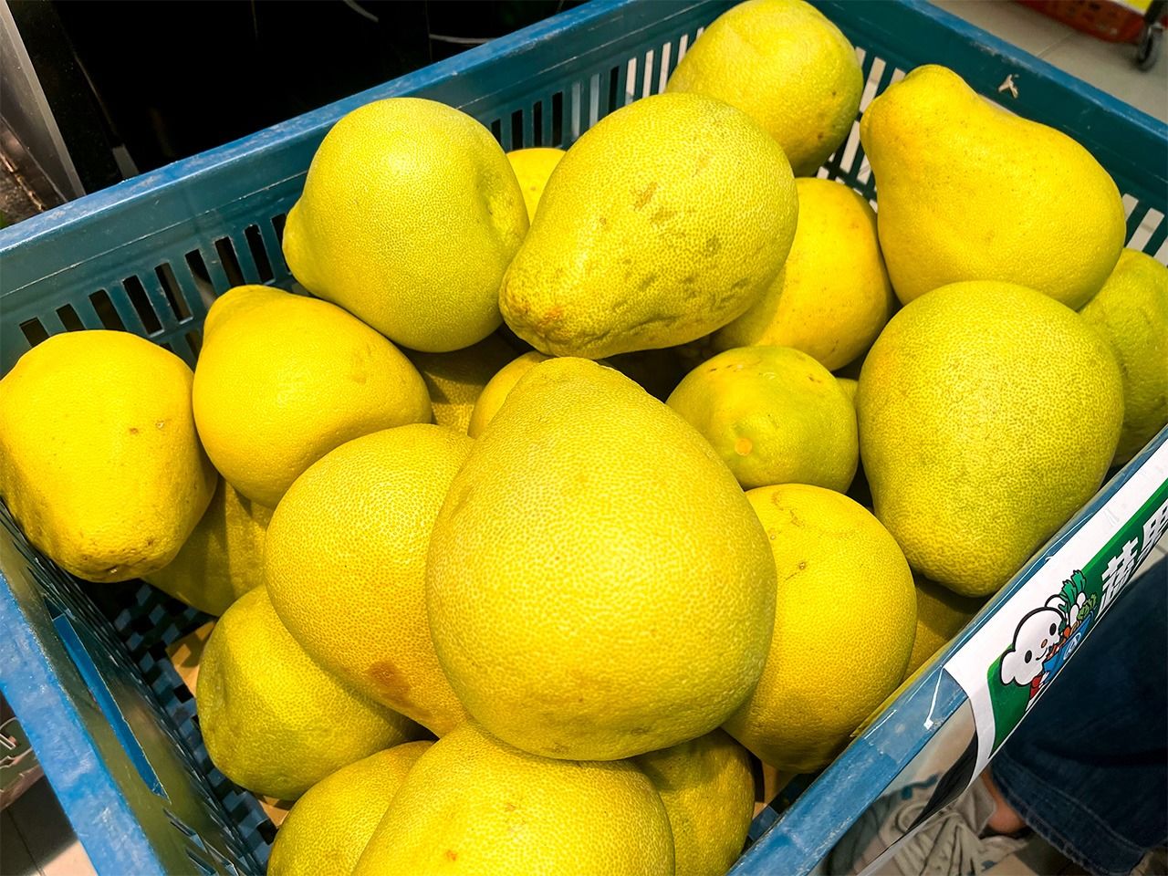 Pomelos are called youzi in Taiwan. They grow well in mildly alkaline soils and are weak against acidity. The Madou district of Tainan, Taiwan, is a famous producer. (© Katakura Yoshifumi)