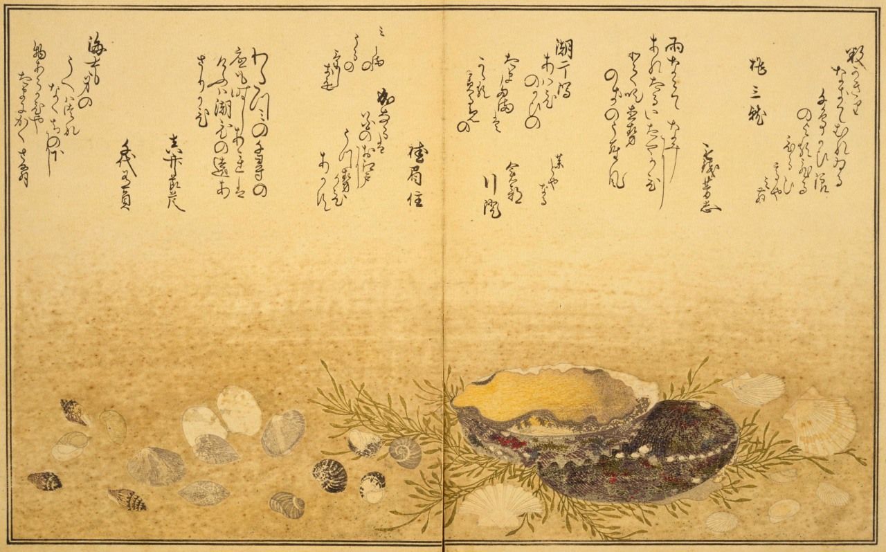 Ehon: Shiohi no tsuto (Picture Book: Gifts of the Ebb Tide) was a gorgeous publication with realistic illustrations by Utamaro, published in the late 1780s. (Courtesy the National Diet Library)
