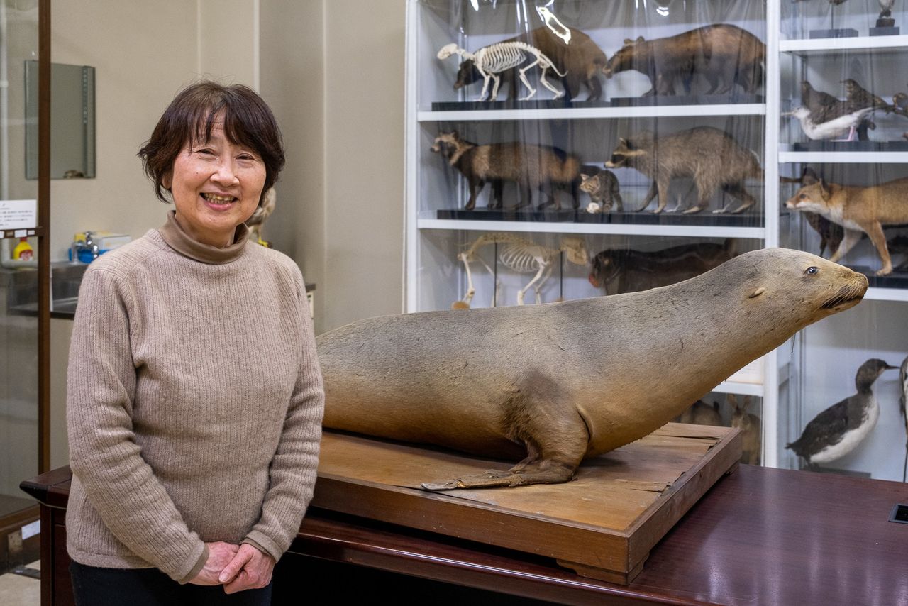 Hanada says she felt a strong affinity for the stuffed sea lion from the moment she laid eyes on it. (© Hayashi Michiko)