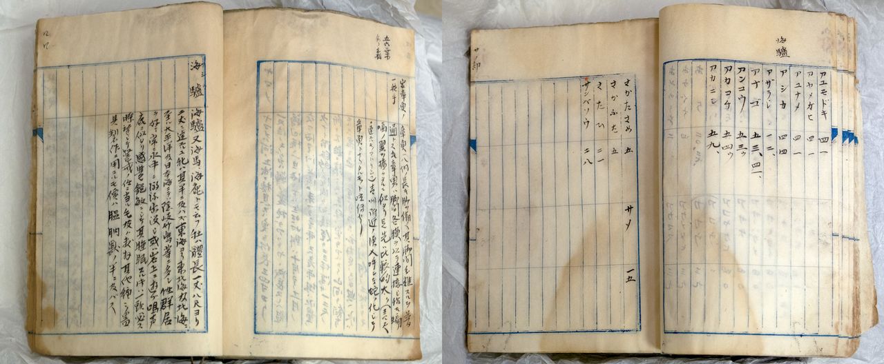 A ledger from the aquarium contained in a box of Hanada’s great-grandfather’s belongings with a section headed “Sea Lion.” (© Hayashi Michiko)