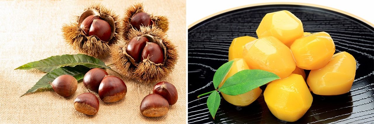 Chestnuts in their burrs (left); kanroni (candied chestnuts). (© Pixta)