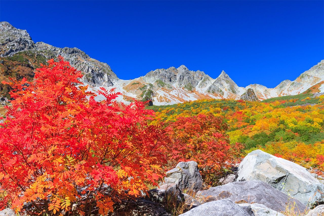 Autumn leaves in Karasawa Cirque, a valley formed by glacial erosion in Azumi, Matsumoto, Nagano Prefecture. (© Pixta)