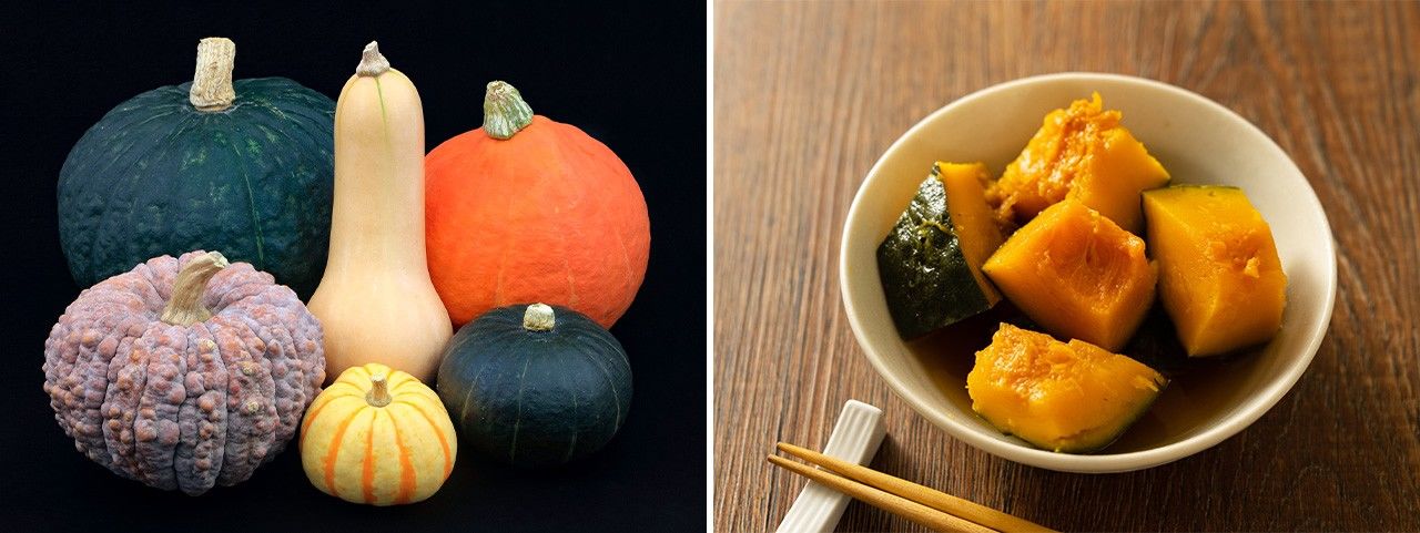 A plethora of pumpkin: (clockwise from upper-left) black chestnut, butternut, colinky, suzuki, puccini, and chrysanthemum kabocha (left); boiled kabocha with dashi broth. (© Pixta)