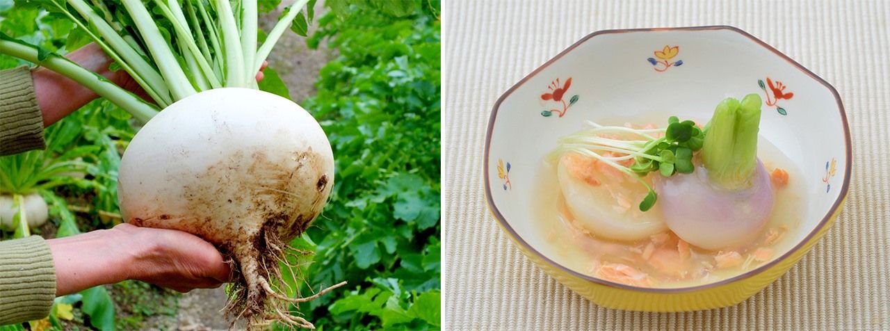 Shōgoin kabu (left); kabura-mushi (boiled turnip). (© Pixta)