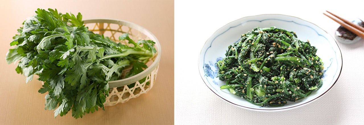  Uncooked shungiku (left); shungiku seasoned with sesame sauce. (© Pixta)