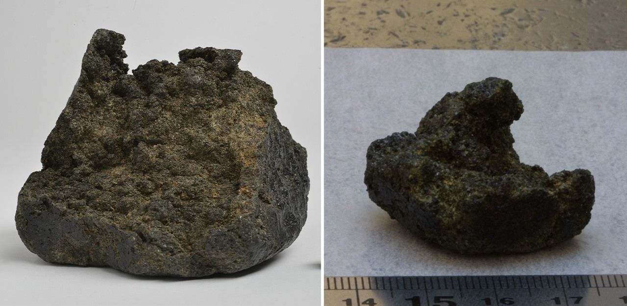 Yamato 000749 (left) and Yamato 000802 were both found near Yamato 000593. (Courtesy the National Institute of Polar Research)