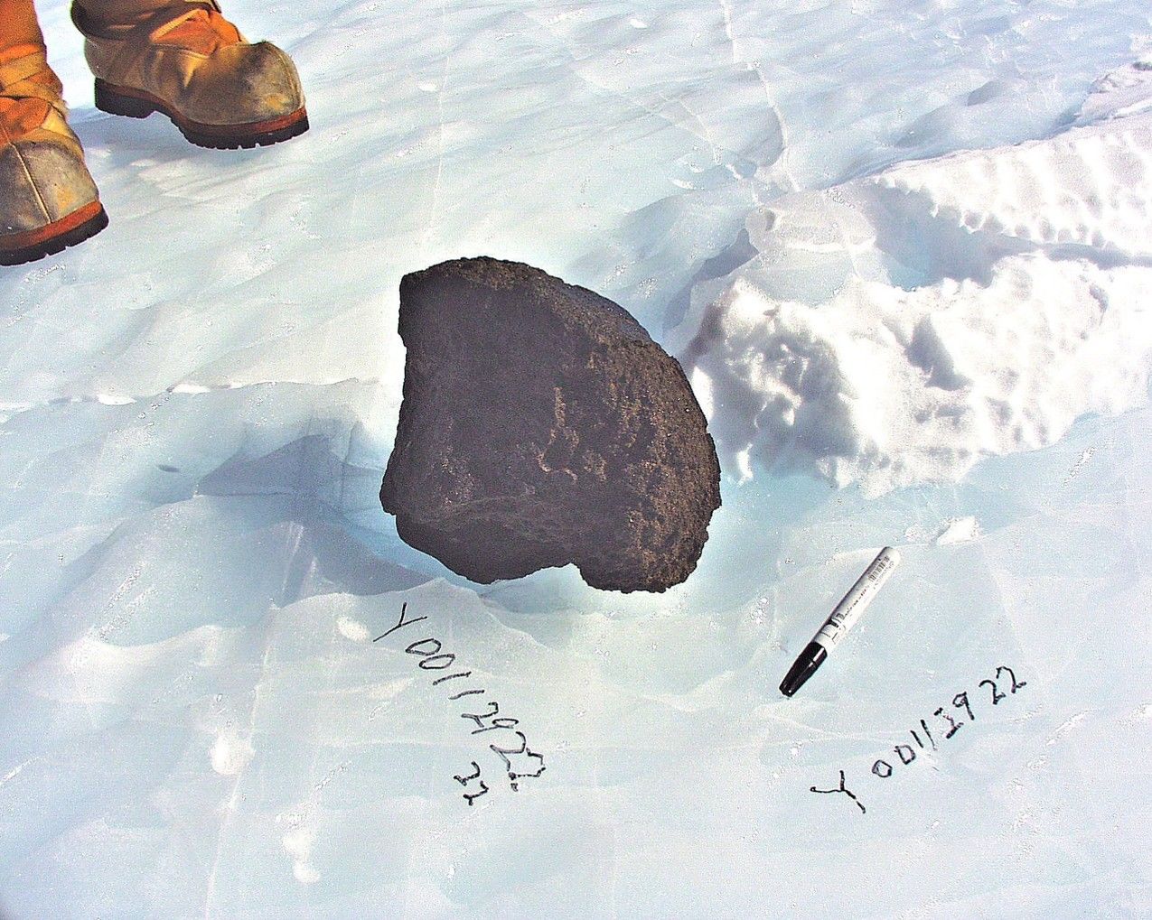 Photo from when Yamato 000593 was discovered. (Courtesy the National Institute of Polar Research)