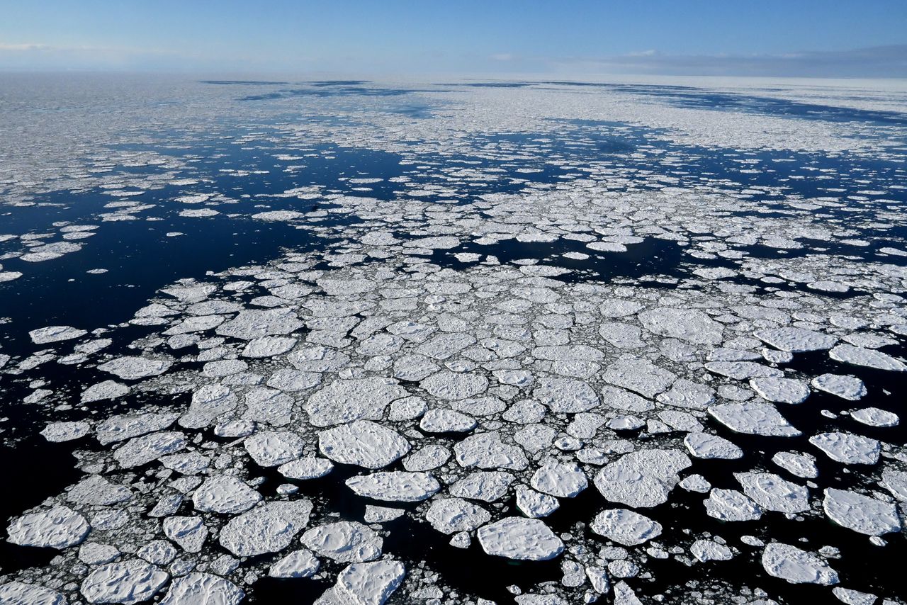 Ice floes in the Sea of Okhotsk. Photo taken in February 2025. (© Yamamoto Tomoyuki)