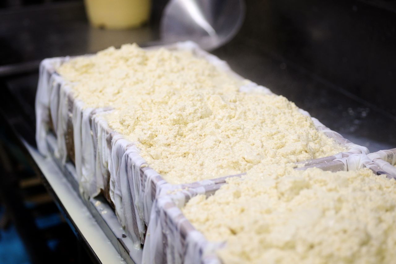Coagulated bean curd is placed in molds for draining and shaping. (© Pixta)
