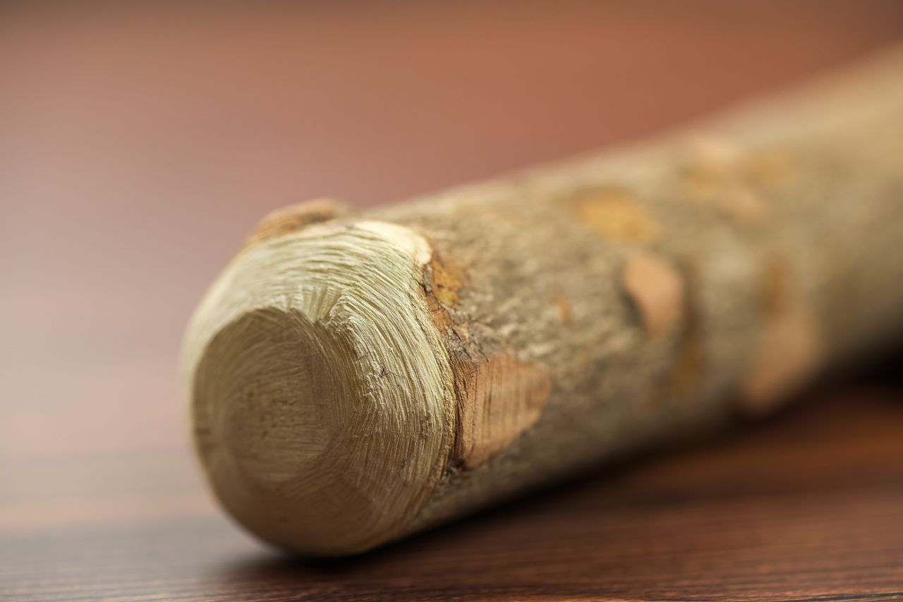 The density of the sanshō wood makes it ideal for grinding. (© Nomura Kazuyuki)