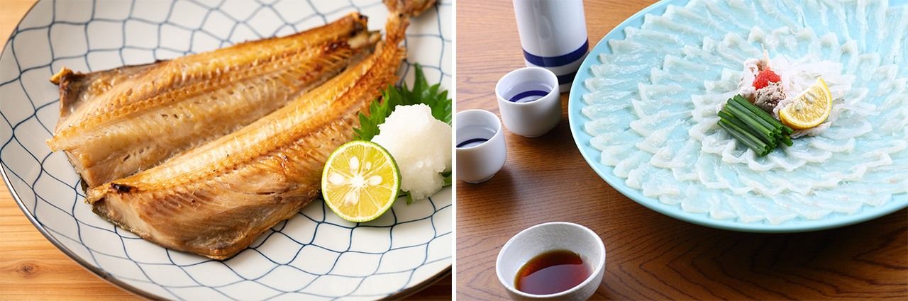 Okhotsk mackerel with sudachi (left) and blowfish sashimi with soy sauce and kabosu. (© Pixta)