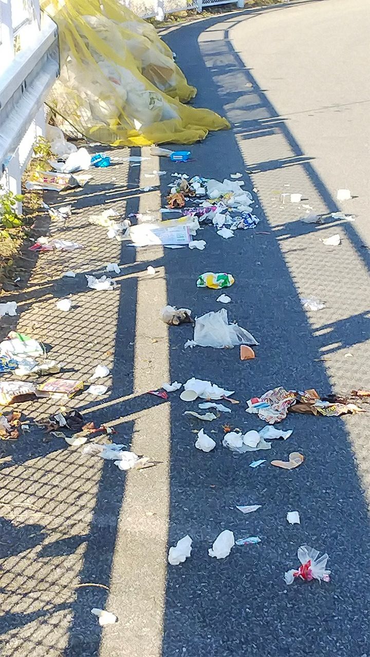 A garbage collection site looted by karasu. Residents often cover trash with netting, but the wily birds can drag the bags out and rip them apart in their search for food.