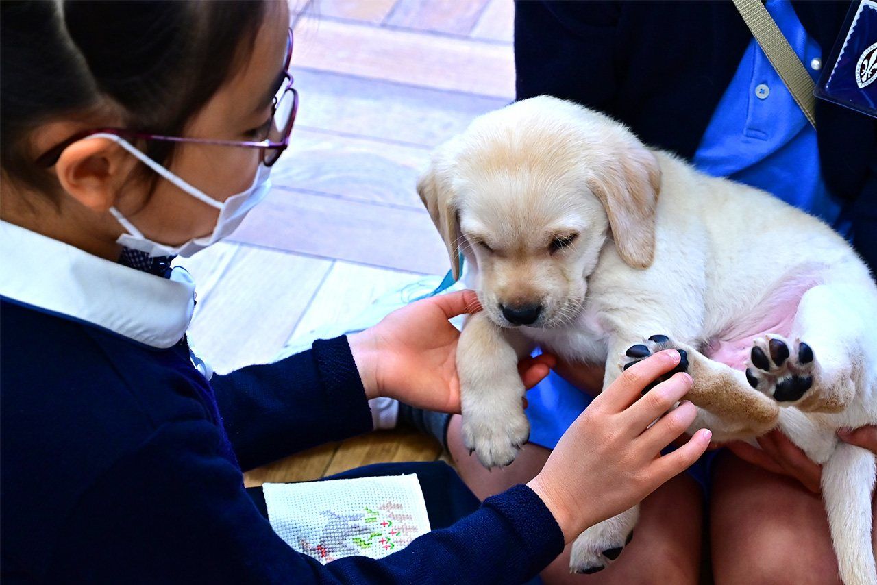 A student getting to know one of Crea’s puppies.