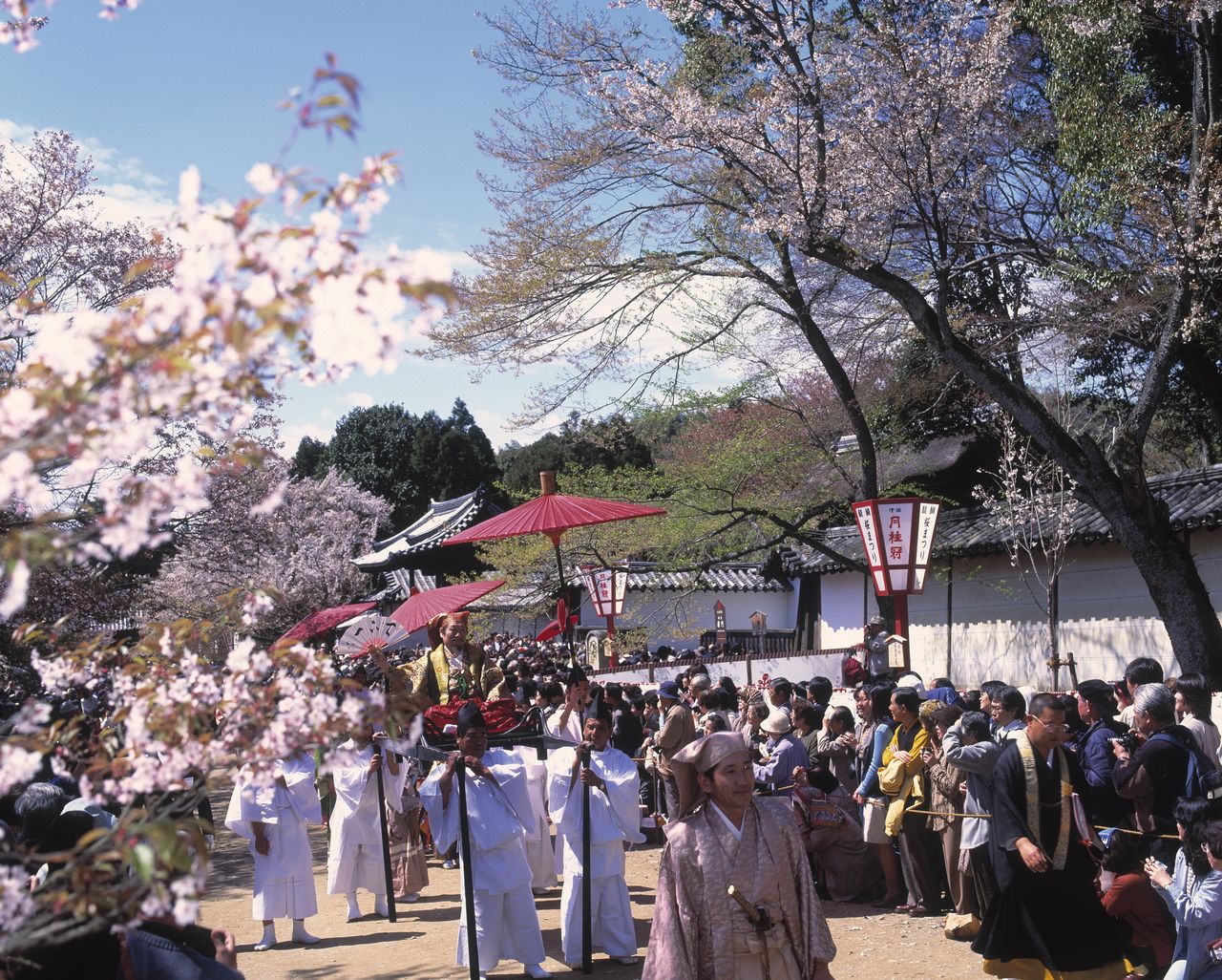 A cherry blossom procession at Buddhist temple Daigoji recreates the occasion when Toyotomi Hideyoshi  planted hundreds of cherry trees and called daimyō and their entourages, some 1,300 people in all, to Kyoto. Photo taken in 1997. (© Jiji)