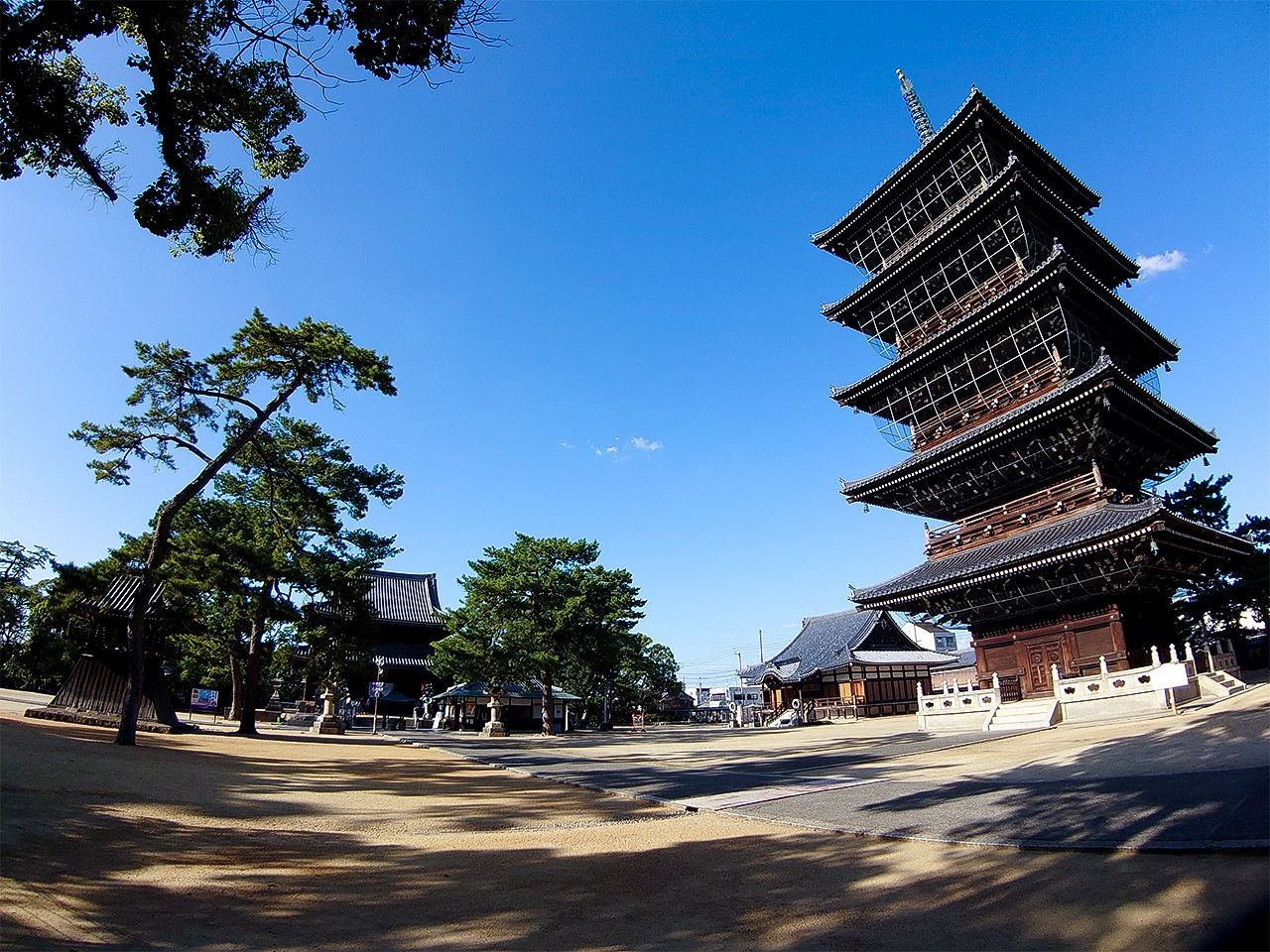 The grounds of Zentsūji.