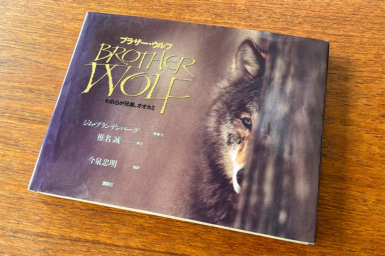 Brother Wolf: A Forgotten Promise collects photographs and essays by Jim Brandenburg.  (Japanese edition courtesy Kōdansha)