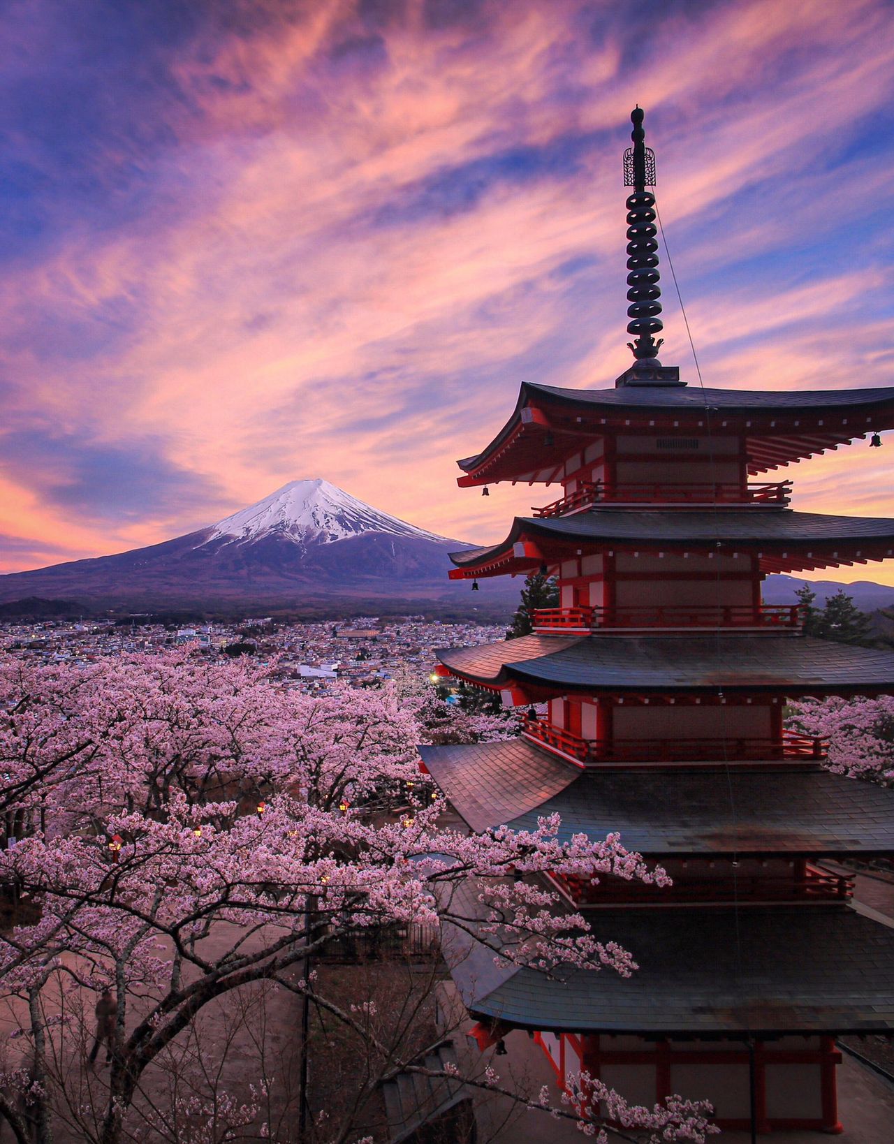 One of the most iconic angles of Fuji, cherry blossoms, and a five-story pagoda, viewed from Arakurayama Sengen Park, in the city of Fujiyoshida, Yamanashi Prefecture. Visitors flock here to get a perfect shot, but Hashimuki takes it to a different level entirely.