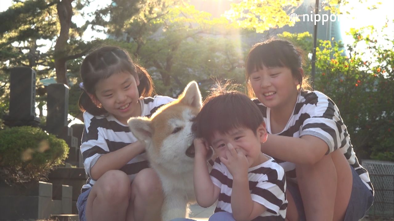 Akita Dog Tora-maru and His Three Human Friends | Nippon.com