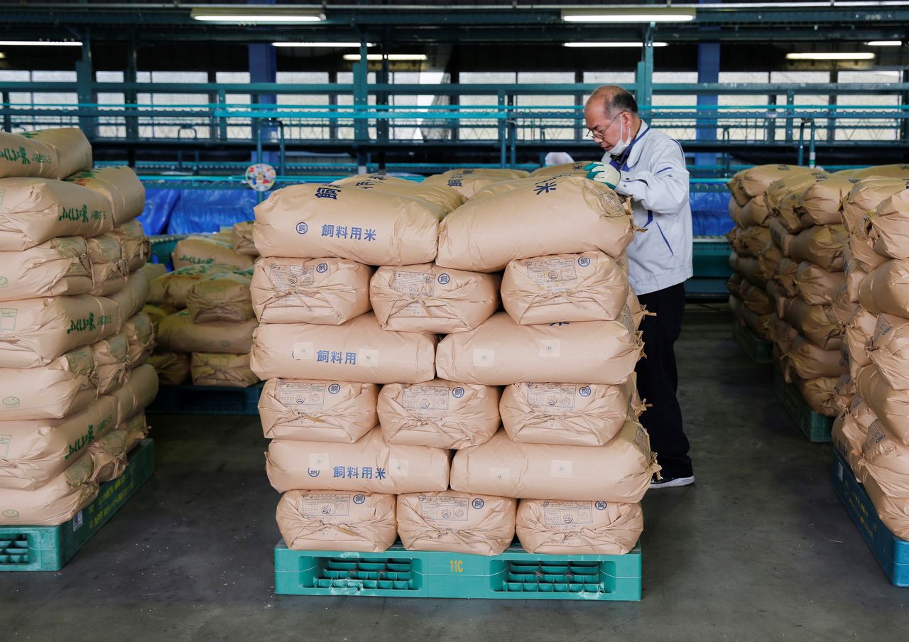 FILE PHOTO: A farmer checks on packs of rice ready for delivery at a sorting site for produce in Iwaki, Fukushima prefecture, Japan November 2, 2021. REUTERS/Sakura Murakami